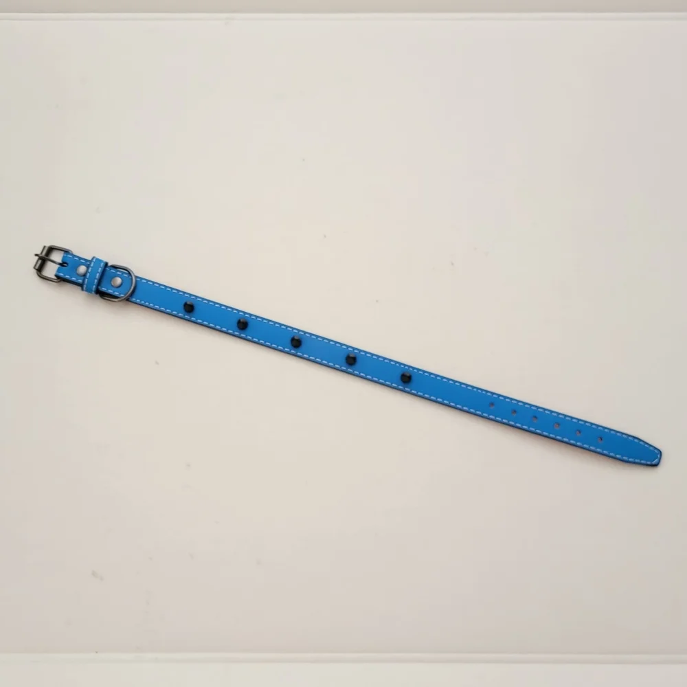 Studded Dog collar Blue Studded faux leather